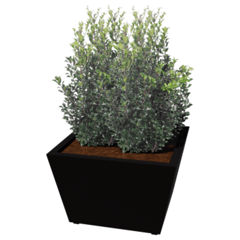 Fioriera in acciaio - Cono - 80 x 80 x 51,5 cm - Saldato - Altri colori RAL - Con piastra di base