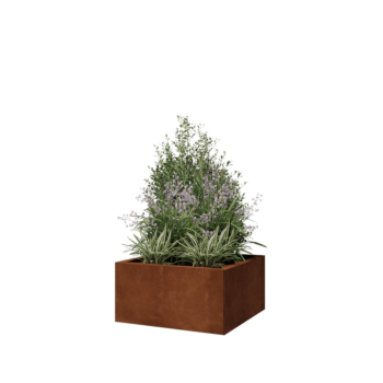 Fioriera in acciaio corten - Quadrato - 60 x 60 x 30 cm - Senza piastra di base