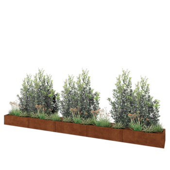 Fioriera XXL in acciaio corten - Rettangolo - 500 x 50 x 30 cm - Senza piastra di base