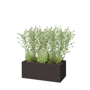 Fioriera in acciaio - Rettangolo - 100 x 50 x 40 cm - RAL7016 opaco (grigio antracite) - Con piastra di base