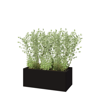 Fioriera in acciaio - Rettangolo - 100 x 50 x 40 cm - RAL9005 opaco (nero) - Senza piastra di base