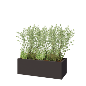 Fioriera in acciaio - Rettangolo - 120 x 50 x 40 cm - RAL7016 opaco (grigio antracite) - Con piastra di base