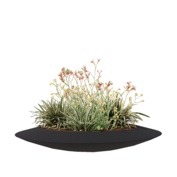 Fioriera in vetroresina - Ciotola - Ø 120 x 20 cm - RAL7021 opaco (grigio nerastro) - Con fondo