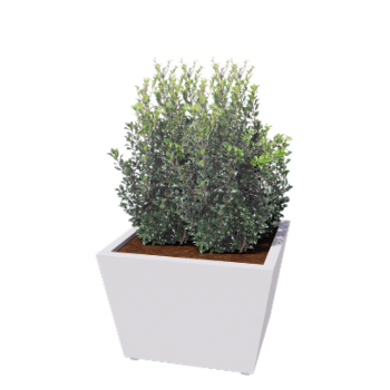 Fioriera in acciaio - Cono - 80 x 80 x 51,5 cm - Saldato - RAL9010 opaco (bianco) - Con piastra di base