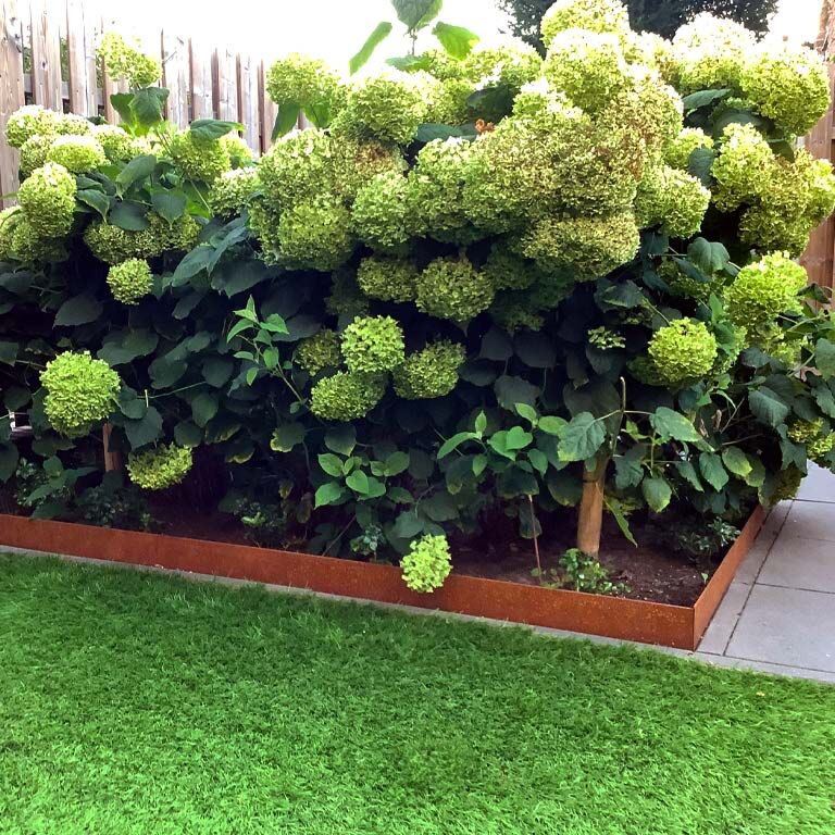 Bordura appiattita in acciaio Corten 13 cm (lunghezza 150 cm)