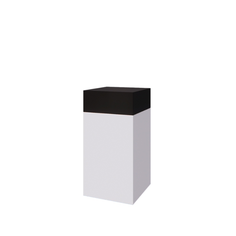 Set di fioriere South Carolina bianco & nero 50 x 50 x 100 cm