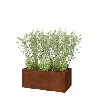 Fioriera in acciaio corten - Rettangolo - 100 x 50 x 40 cm - Senza piastra di base