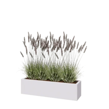 Fioriera in acciaio - Rettangolo - 120 x 30 x 30 cm - RAL9010 opaco (bianco) - Senza piastra di base