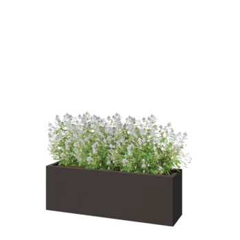 Fioriera in acciaio - Rettangolo - 120 x 30 x 40 cm - RAL7016 opaco (grigio antracite) - Senza piastra di base