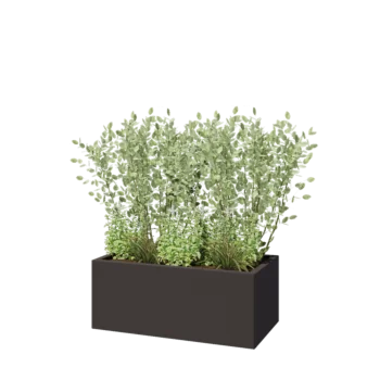 Fioriera in acciaio - Rettangolo - 100 x 50 x 40 cm - RAL7016 opaco (grigio antracite) - Con piastra di base