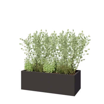 Fioriera in acciaio - Rettangolo - 120 x 50 x 40 cm - RAL7016 opaco (grigio antracite) - Con piastra di base