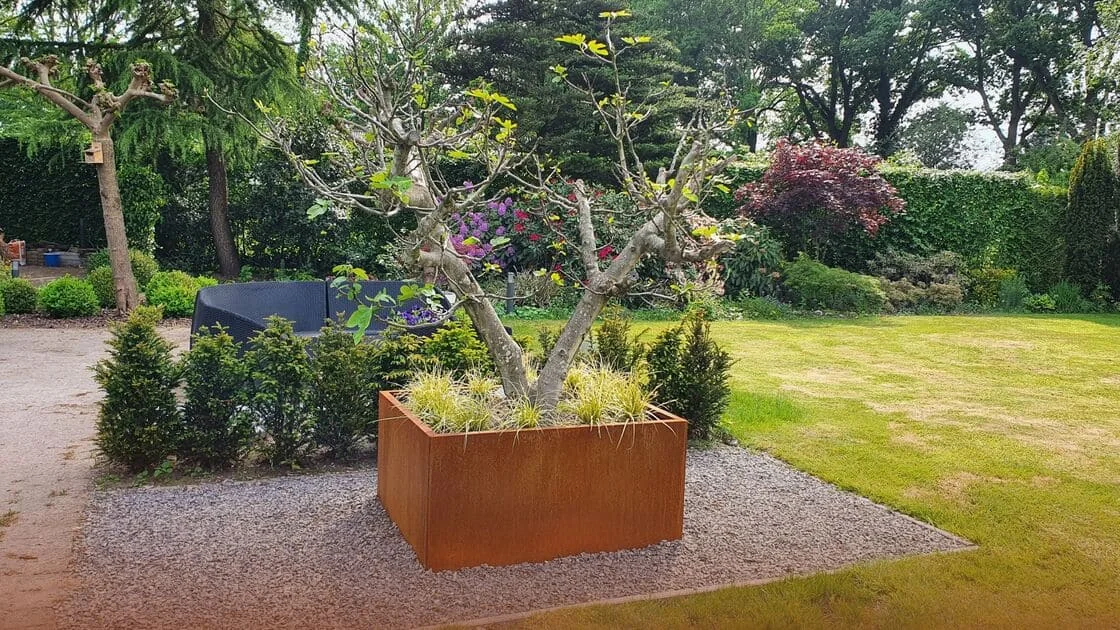 L'acciaio corten è dannoso per l'ambiente: persone, ambiente, piante e animali