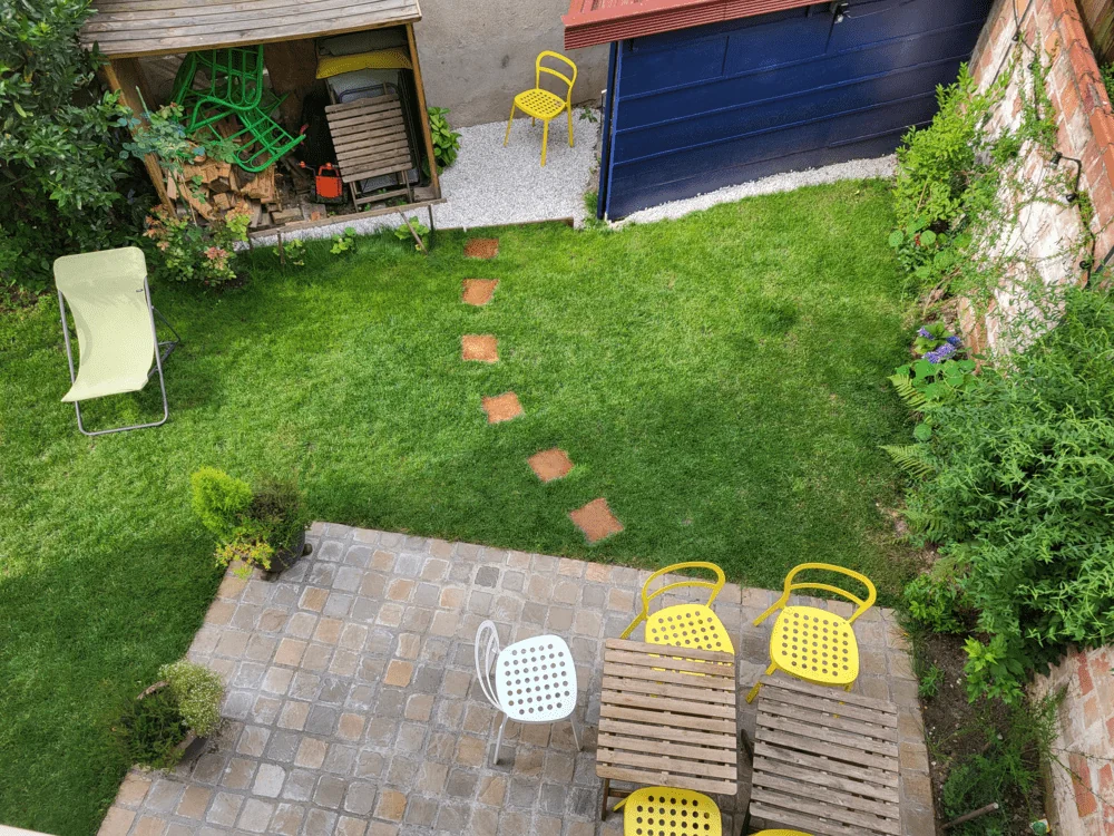 Quali sono le piante più adatte a circondare le pietre di passaggio?